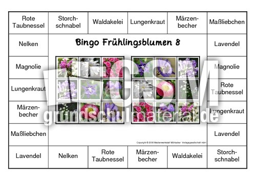 Bingo-Frühlingsblüten-8.pdf